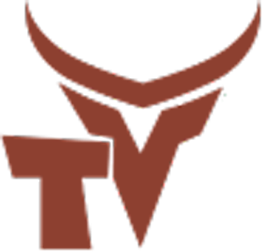 Logo Icon