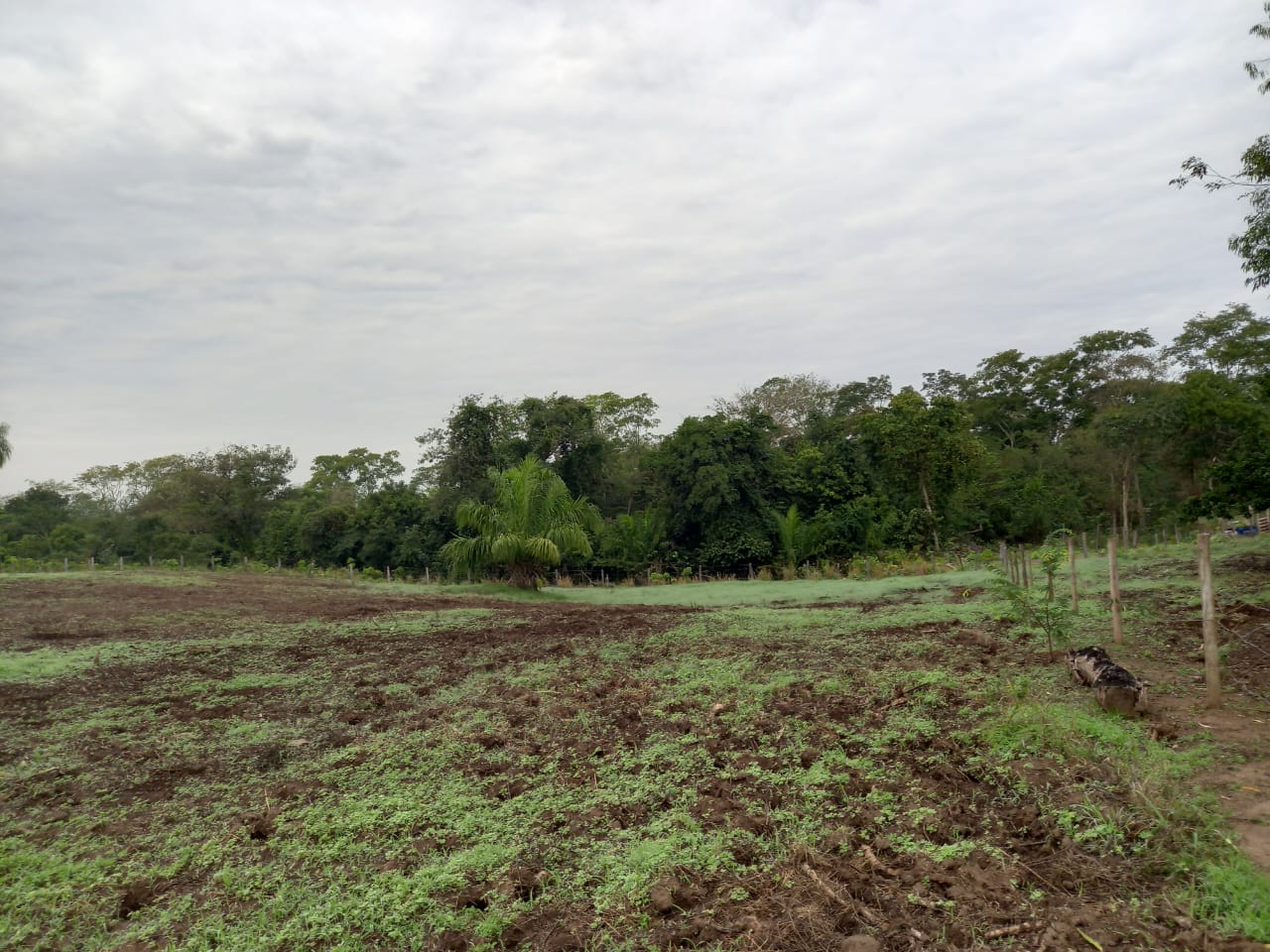 Chácara 6,6 ha - Rio Negro-Ms
