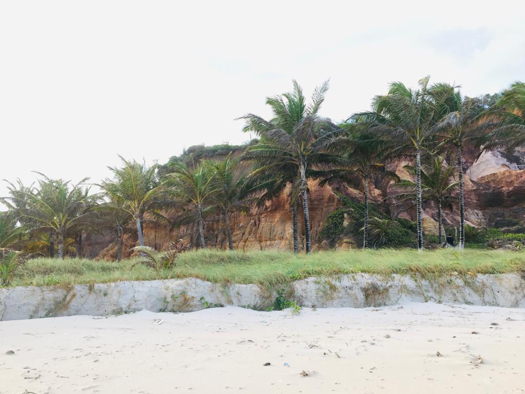 Fazenda EM ALAGOAS de 108 Hectares em Jequiá da Praia – Oportunidade Única para Resorts e Loteamentos