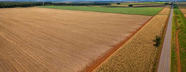 Fazenda à venda em Mato Grosso do Sul