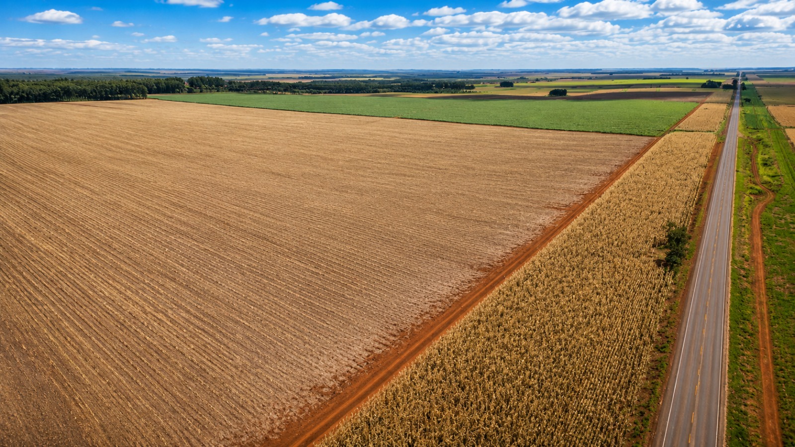 Fazenda à venda em Mato Grosso do Sul
