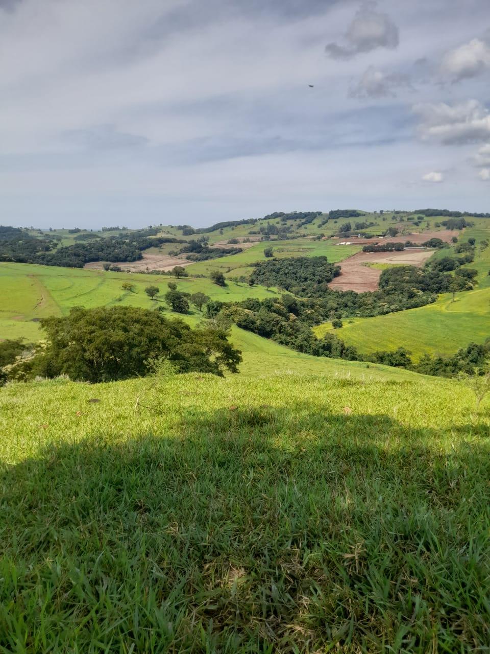 Fazenda Na região de Londrina