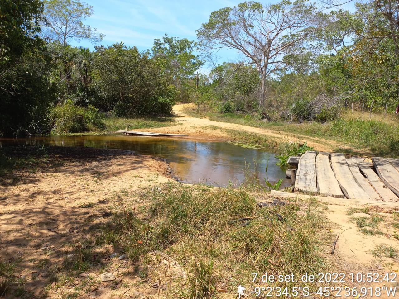 Fazenda 12 mil hectares à Venda no Sul do Piauí