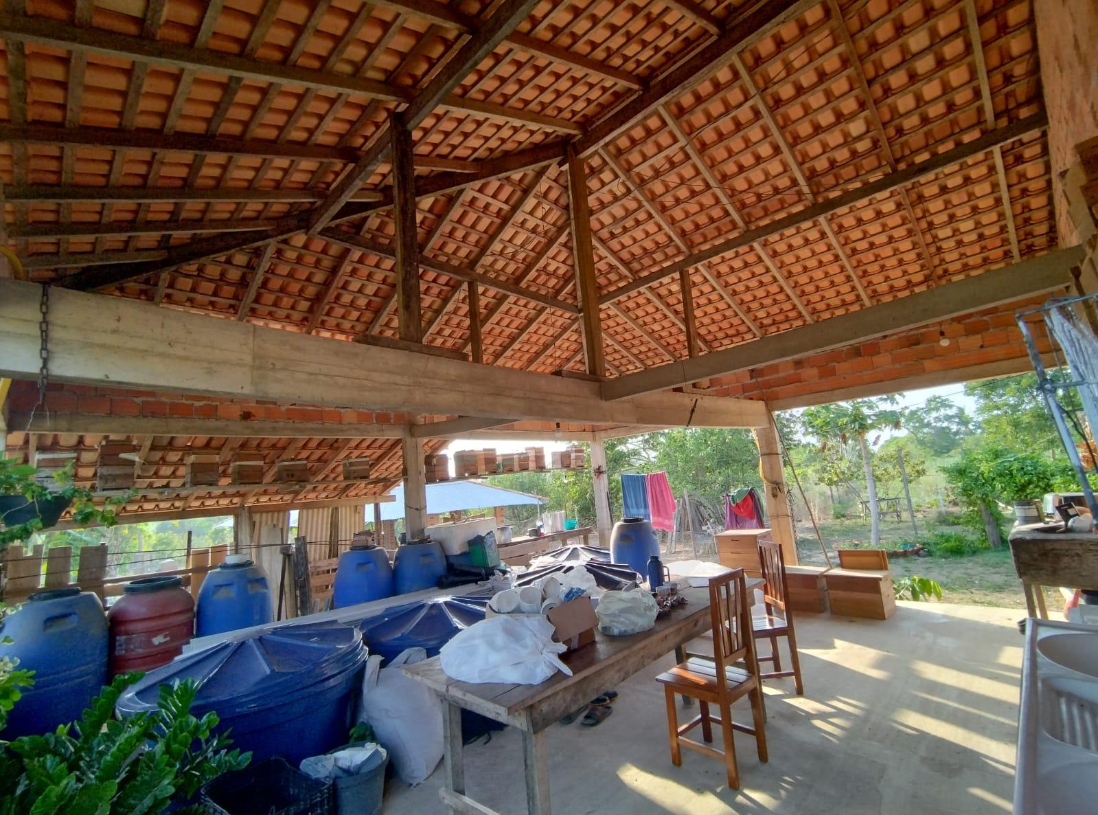 SÍTIO COM PLANTAÇÕES FUTIFERAS