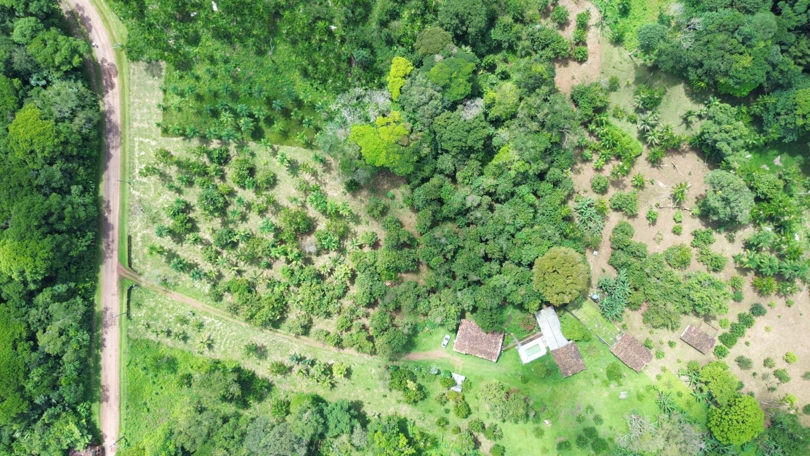 VENDO FAZ. PRÓXIMO A BELÉM CAPITAL DO PARÁ
