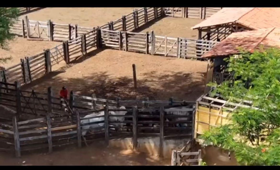 FAZENDA À VENDA OESTE DA BAHIA