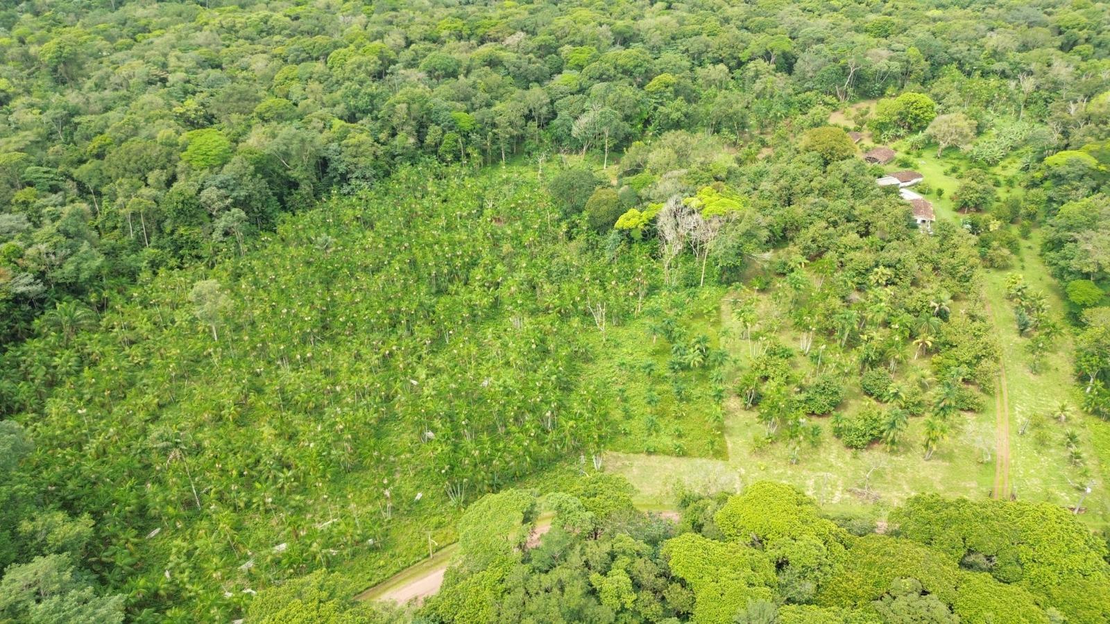 VENDO FAZ. PRÓXIMO A BELÉM CAPITAL DO PARÁ