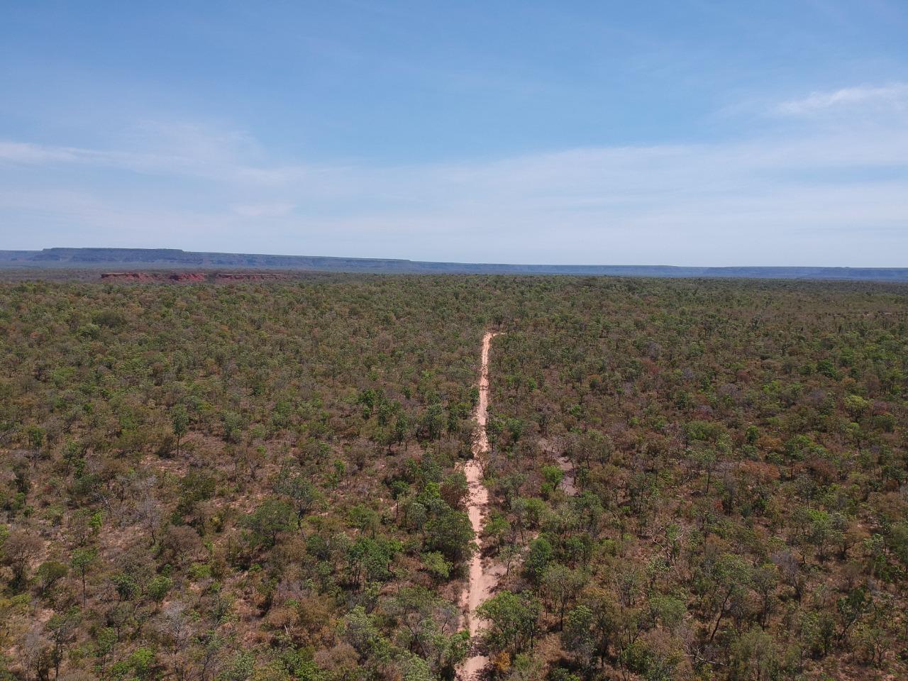 Fazenda 12 mil hectares à Venda no Sul do Piauí