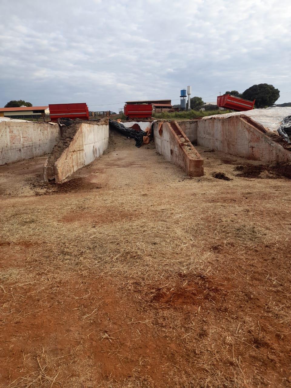 Fazenda Na região de Londrina