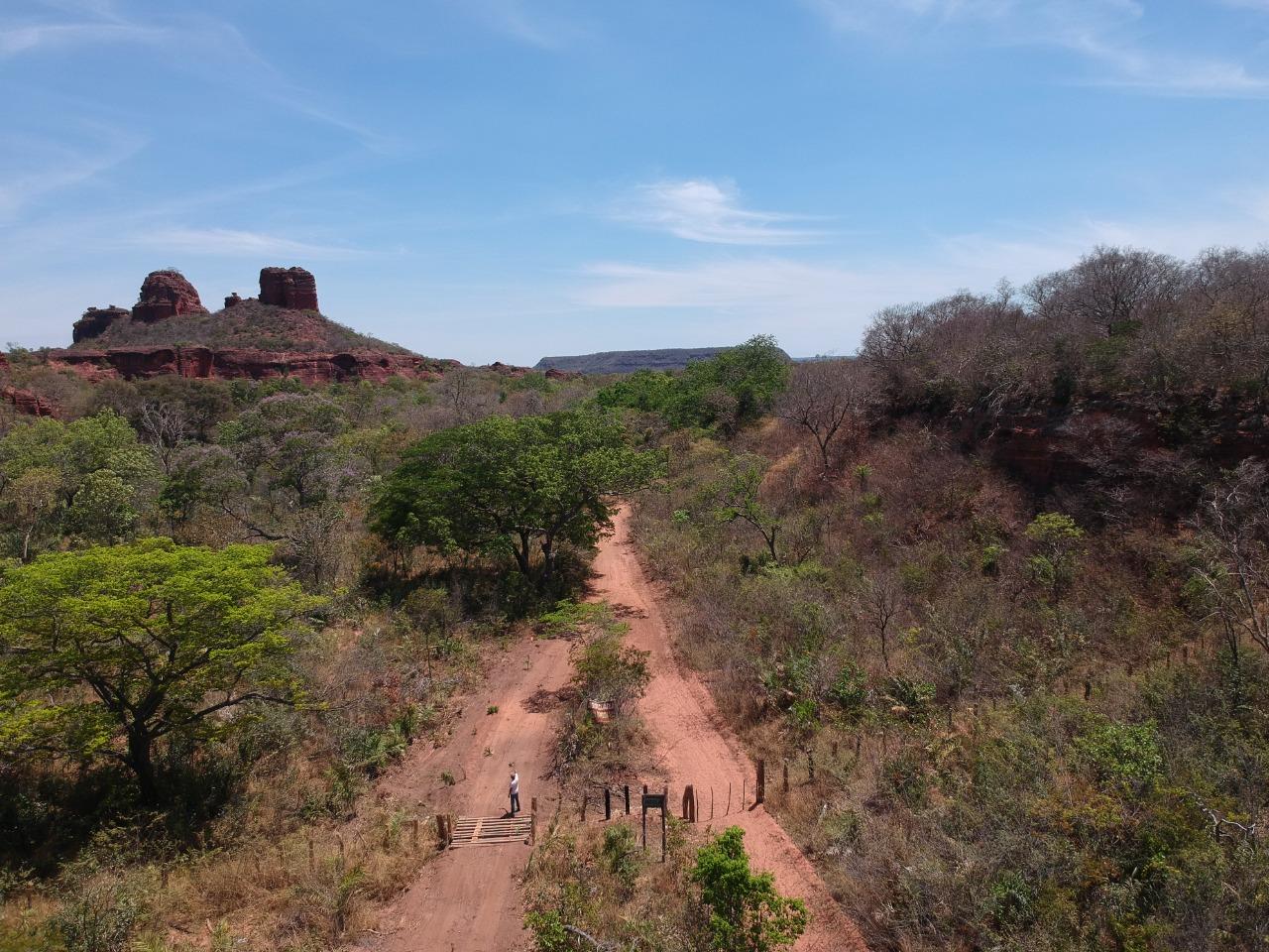 Fazenda 12 mil hectares à Venda no Sul do Piauí