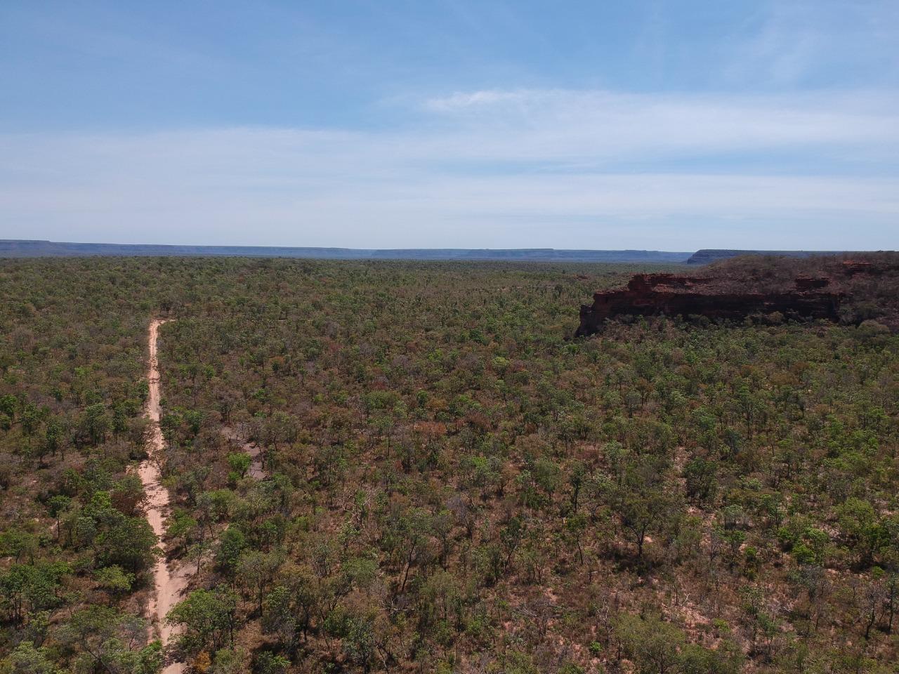 Fazenda 12 mil hectares à Venda no Sul do Piauí