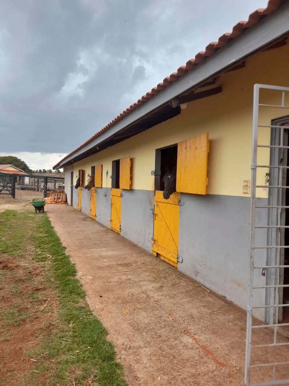 Fazenda Na região de Londrina