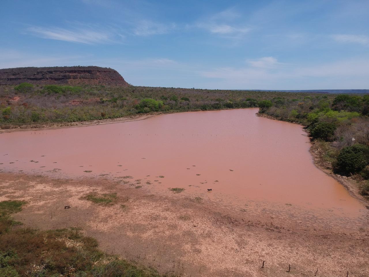 Fazenda 12 mil hectares à Venda no Sul do Piauí