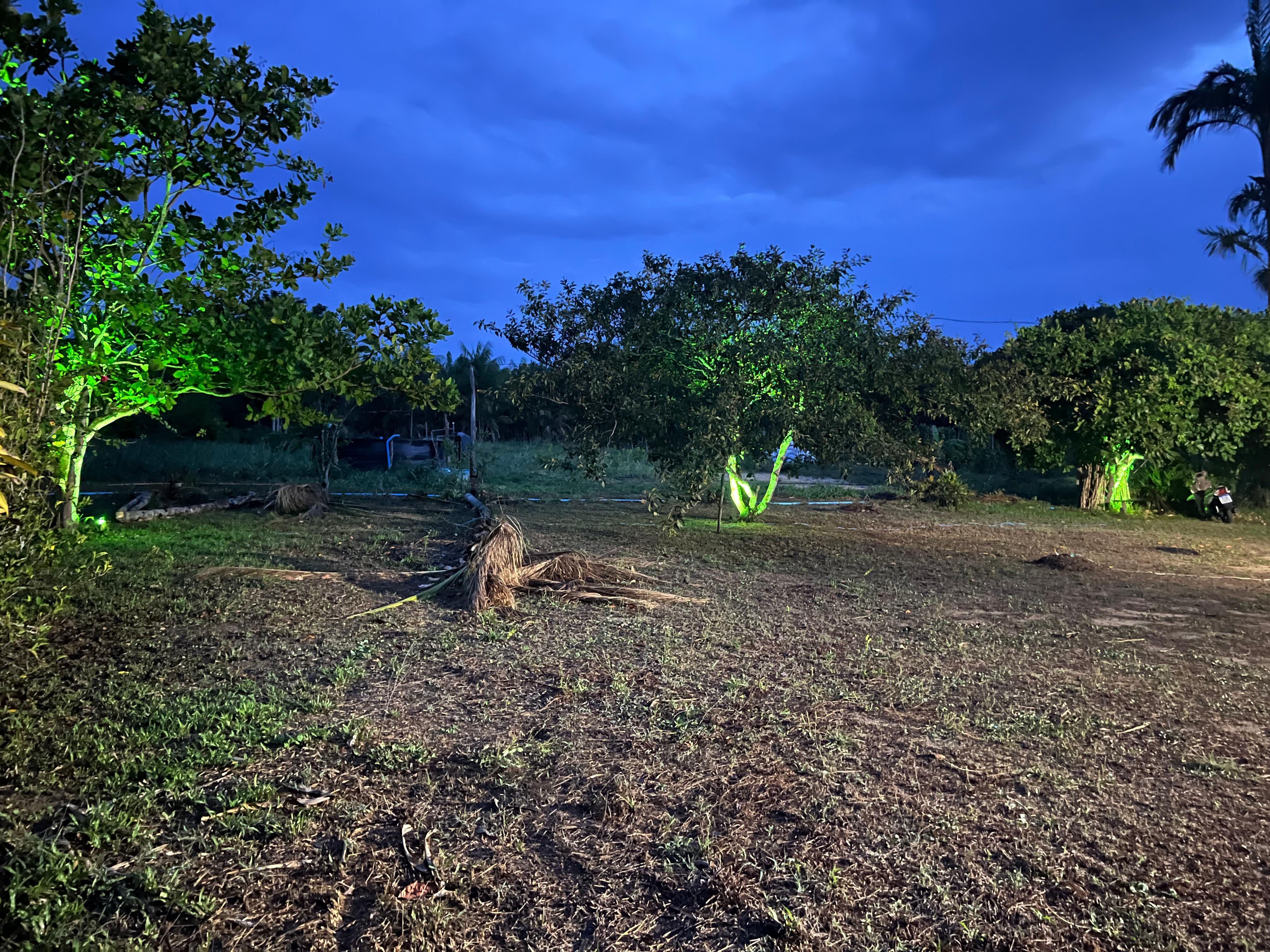 SÍTIO COM PLANTAÇÕES FUTIFERAS