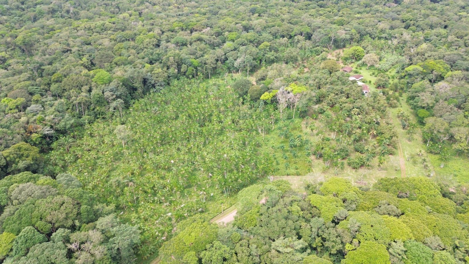 VENDO FAZ. PRÓXIMO A BELÉM CAPITAL DO PARÁ