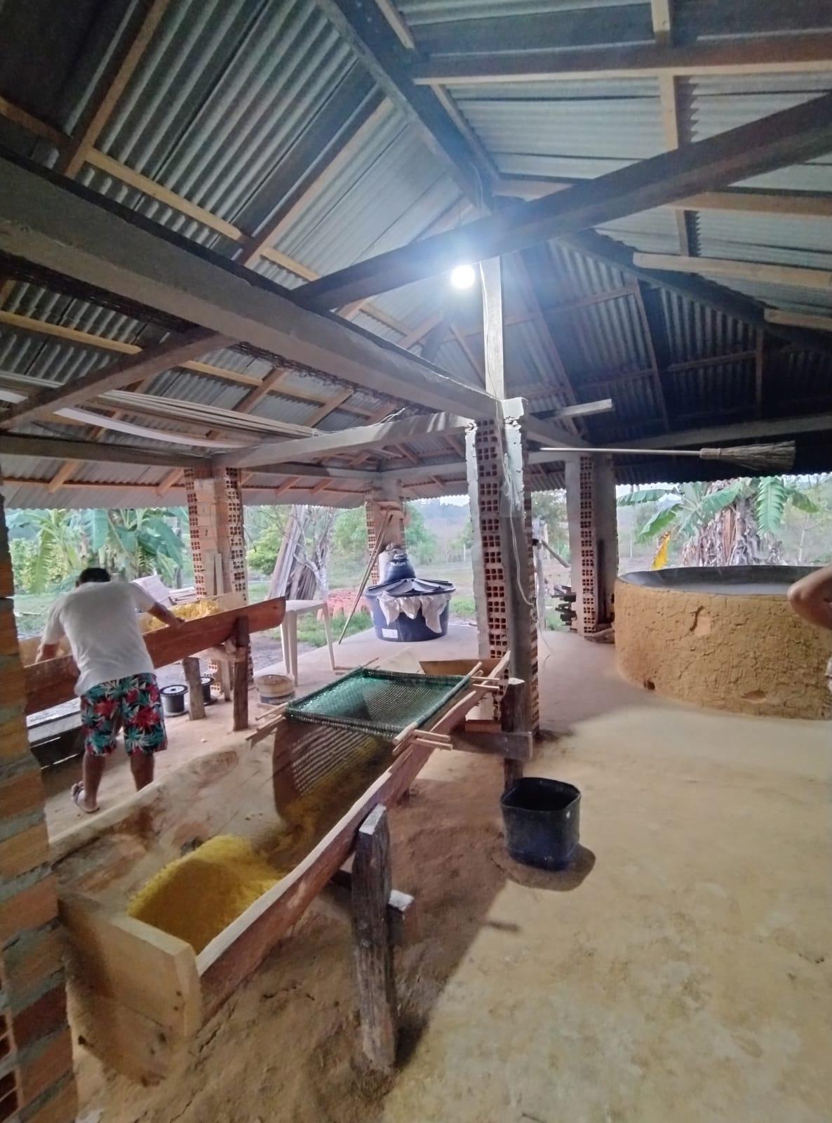 SÍTIO COM PLANTAÇÕES FUTIFERAS