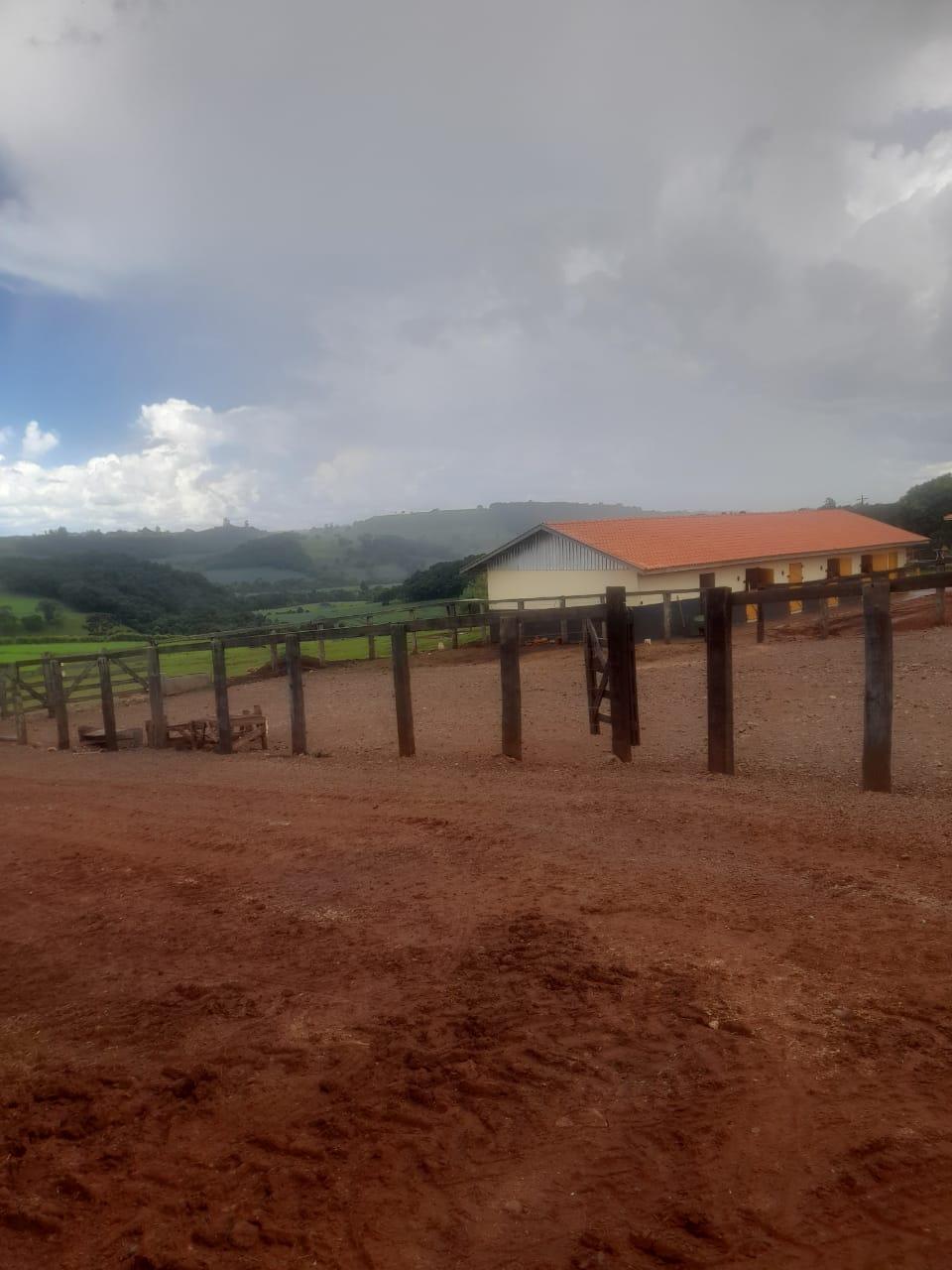 Fazenda Na região de Londrina