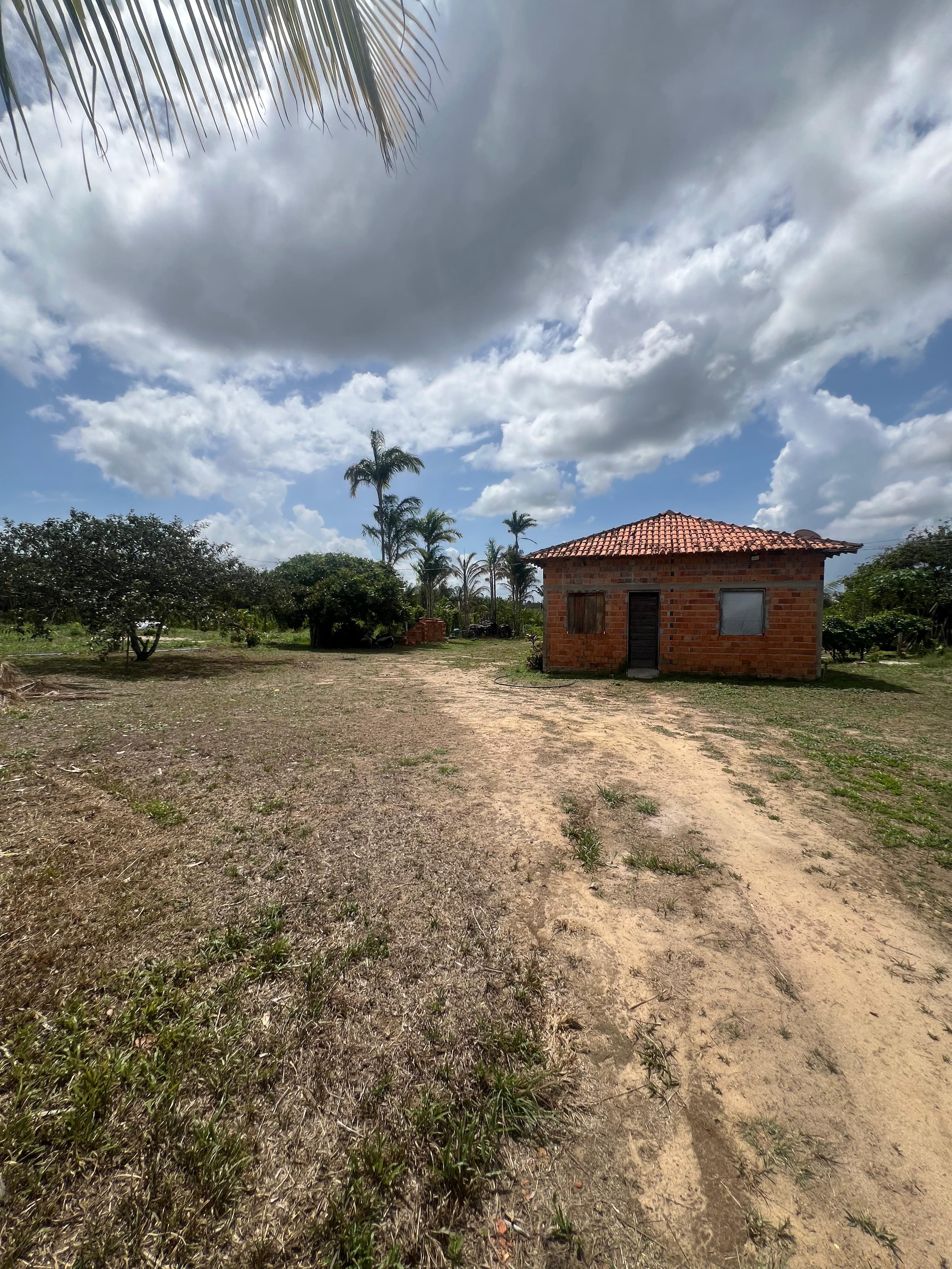 SÍTIO COM PLANTAÇÕES FUTIFERAS