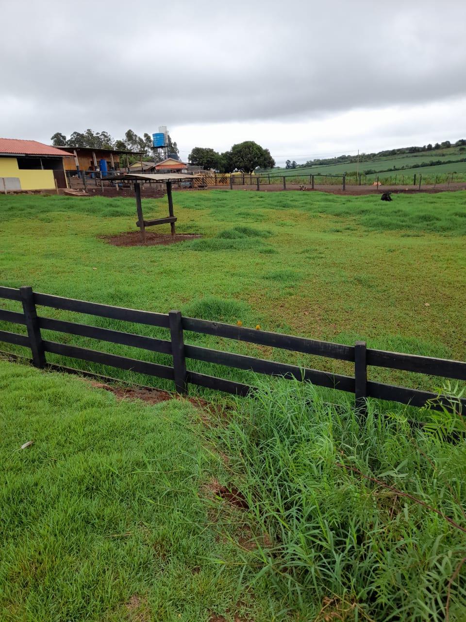 Fazenda Na região de Londrina