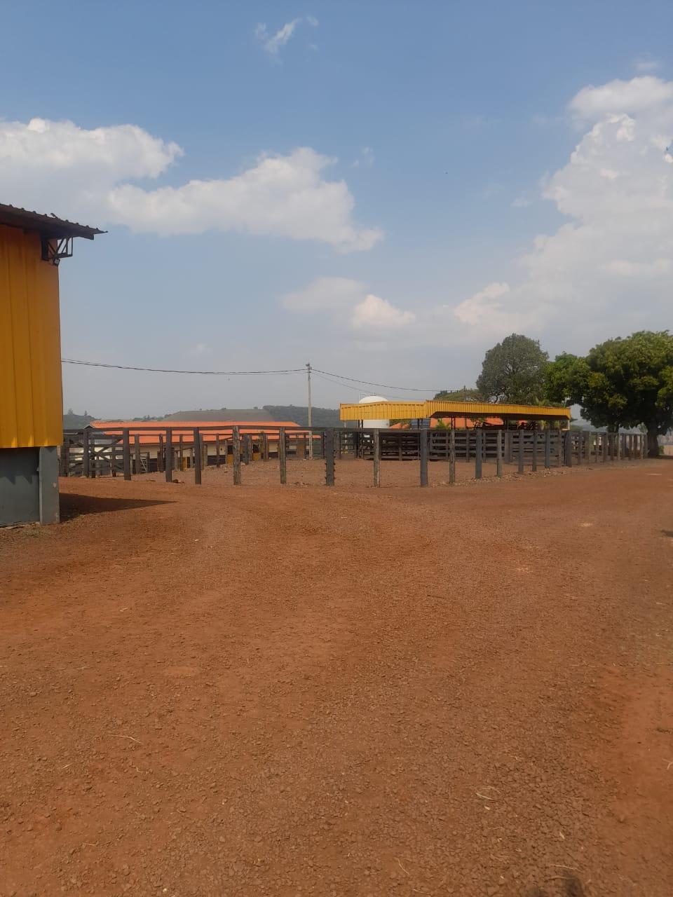 Fazenda Na região de Londrina