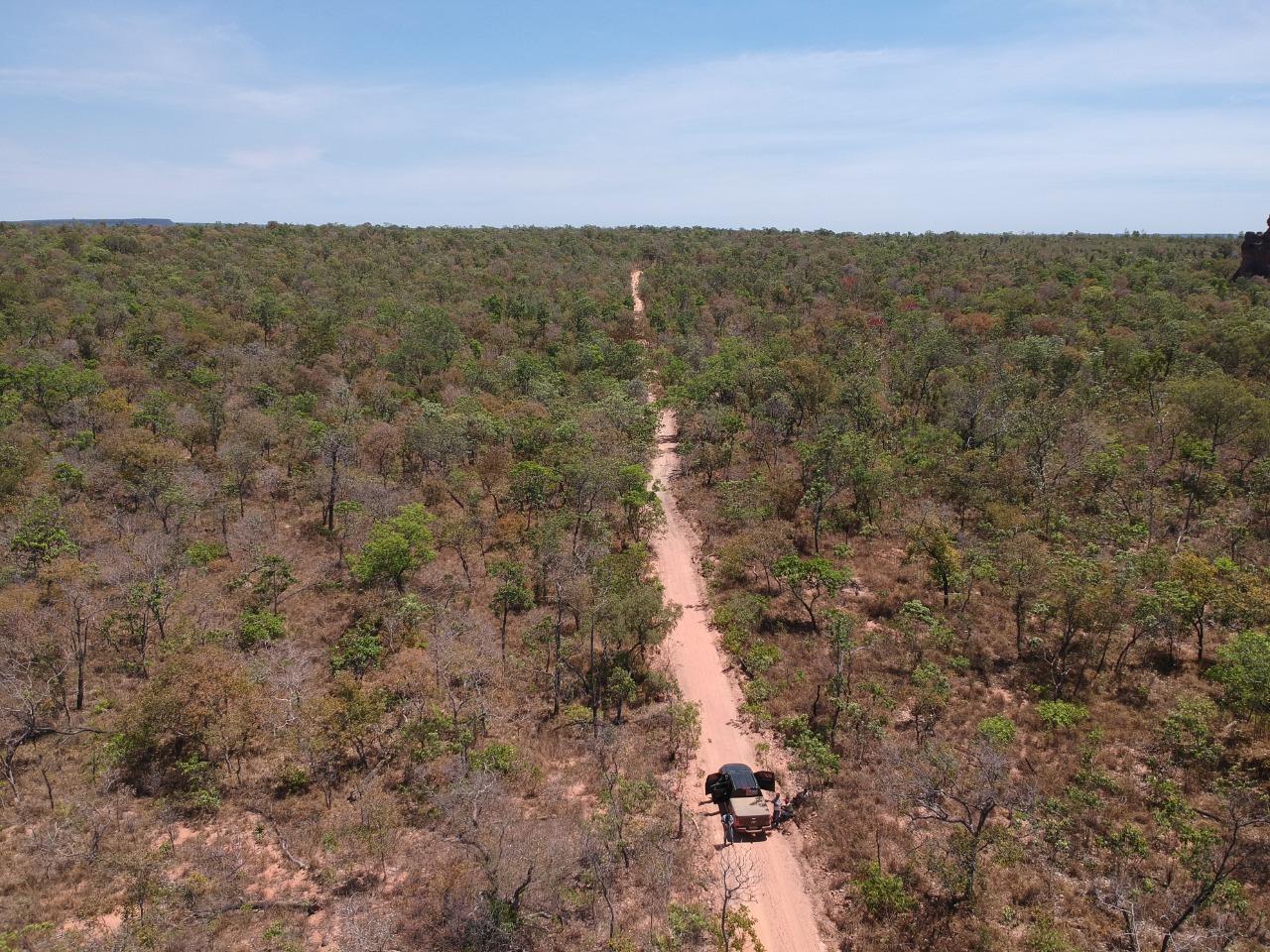 Fazenda 12 mil hectares à Venda no Sul do Piauí