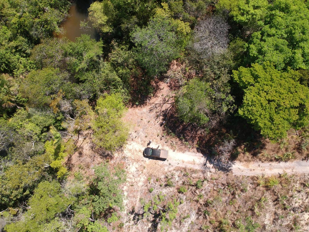 Fazenda 12 mil hectares à Venda no Sul do Piauí
