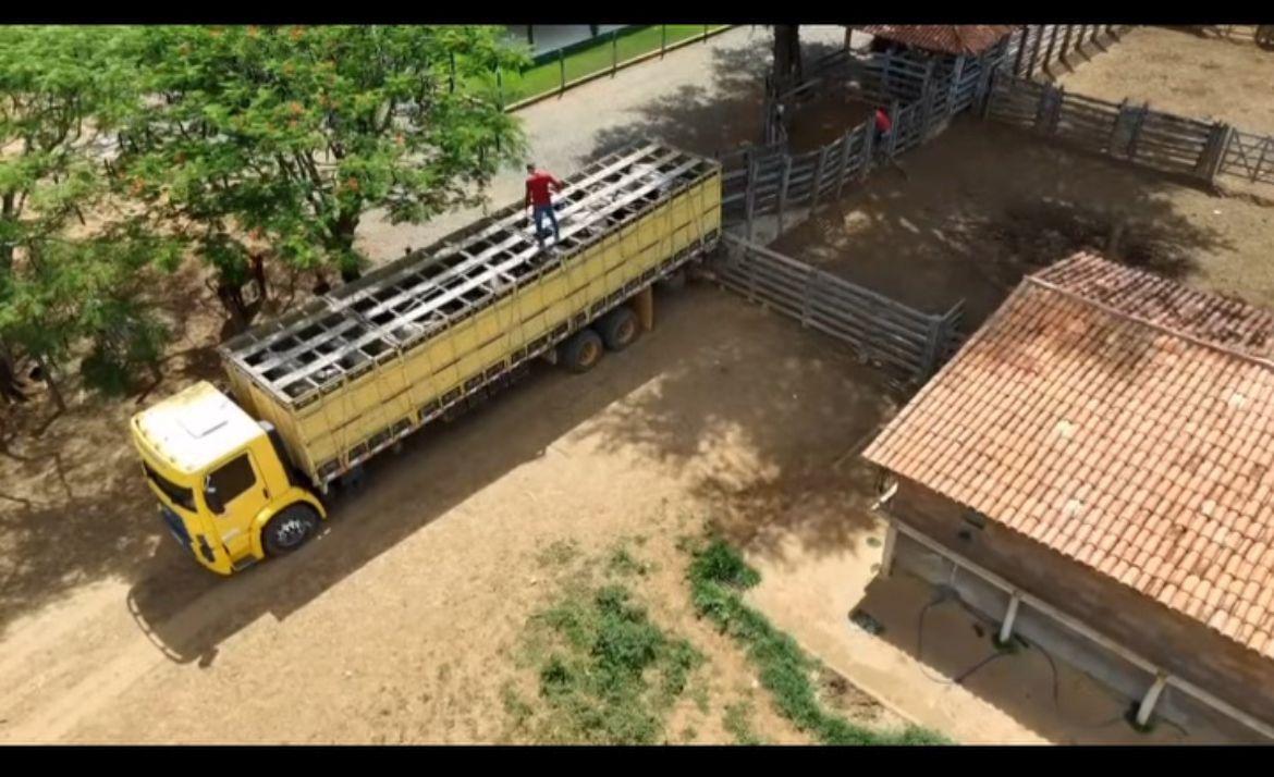 FAZENDA À VENDA OESTE DA BAHIA