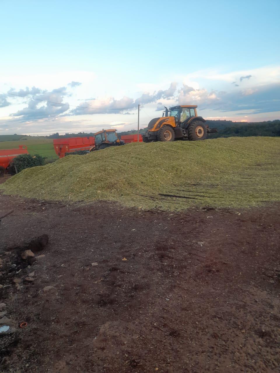 Fazenda Na região de Londrina