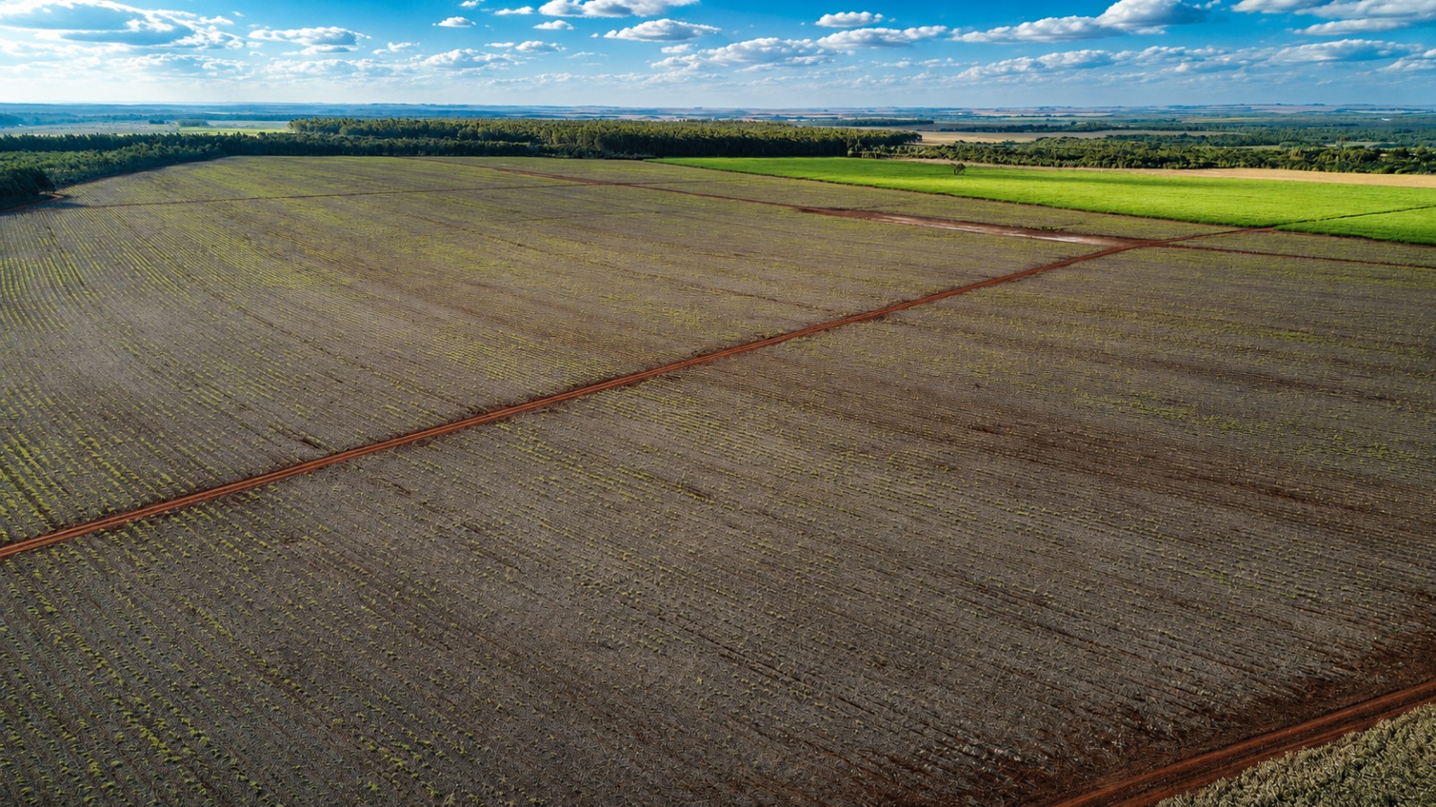 Fazenda à venda em Mato Grosso do Sul