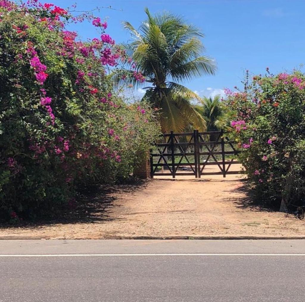 Fazenda EM ALAGOAS de 108 Hectares em Jequiá da Praia – Oportunidade Única para Resorts e Loteamentos