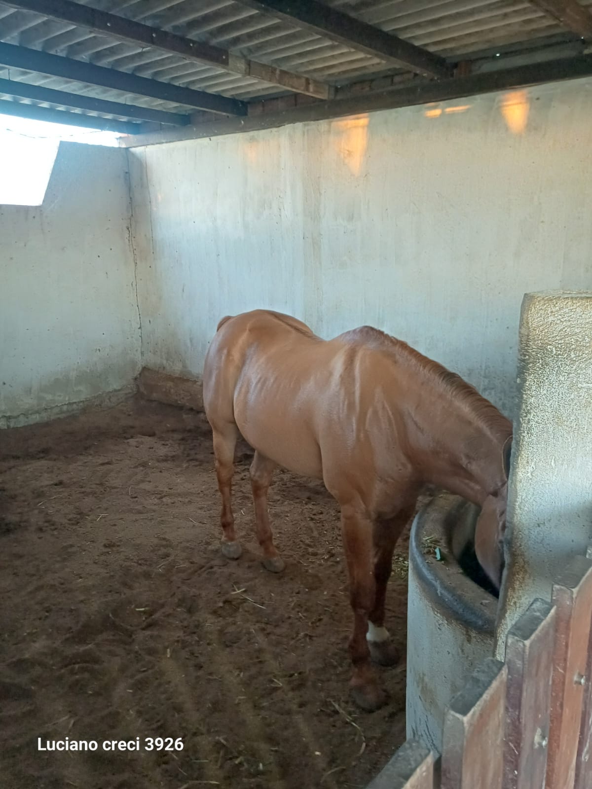 *VENDO CHACARA COM 4 HECTARES EM RIO LARGO - Alagoas - Perfeita