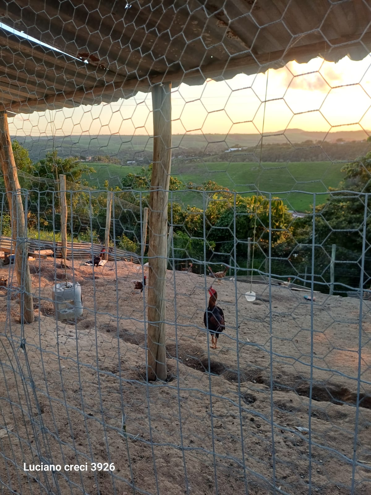 *VENDO CHACARA COM 4 HECTARES EM RIO LARGO - Alagoas - Perfeita