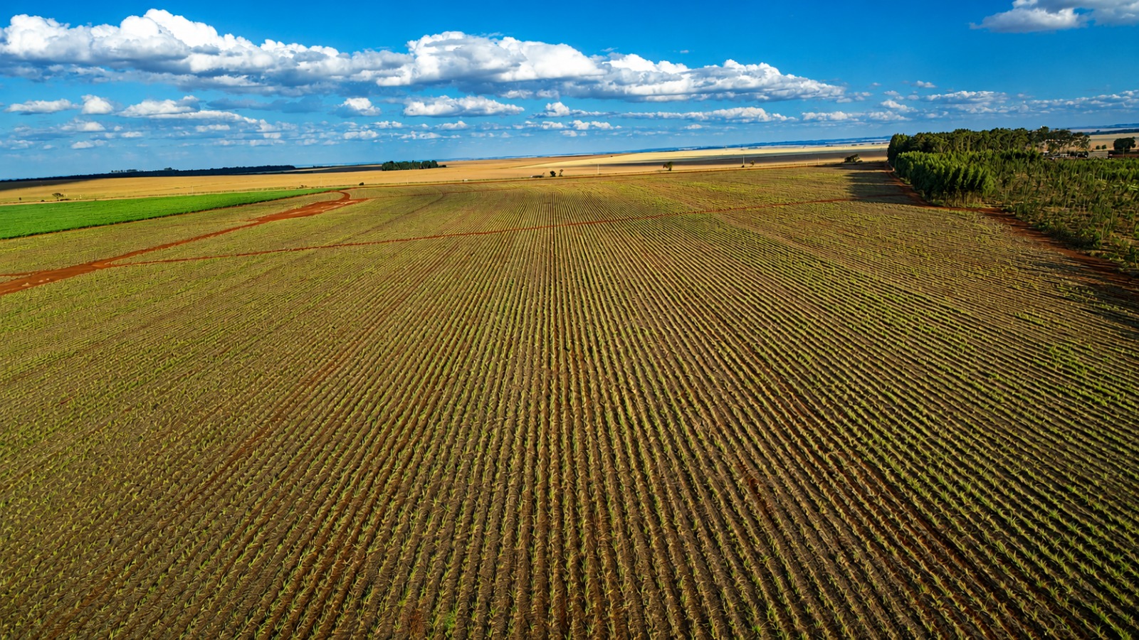 Fazenda à venda em Mato Grosso do Sul