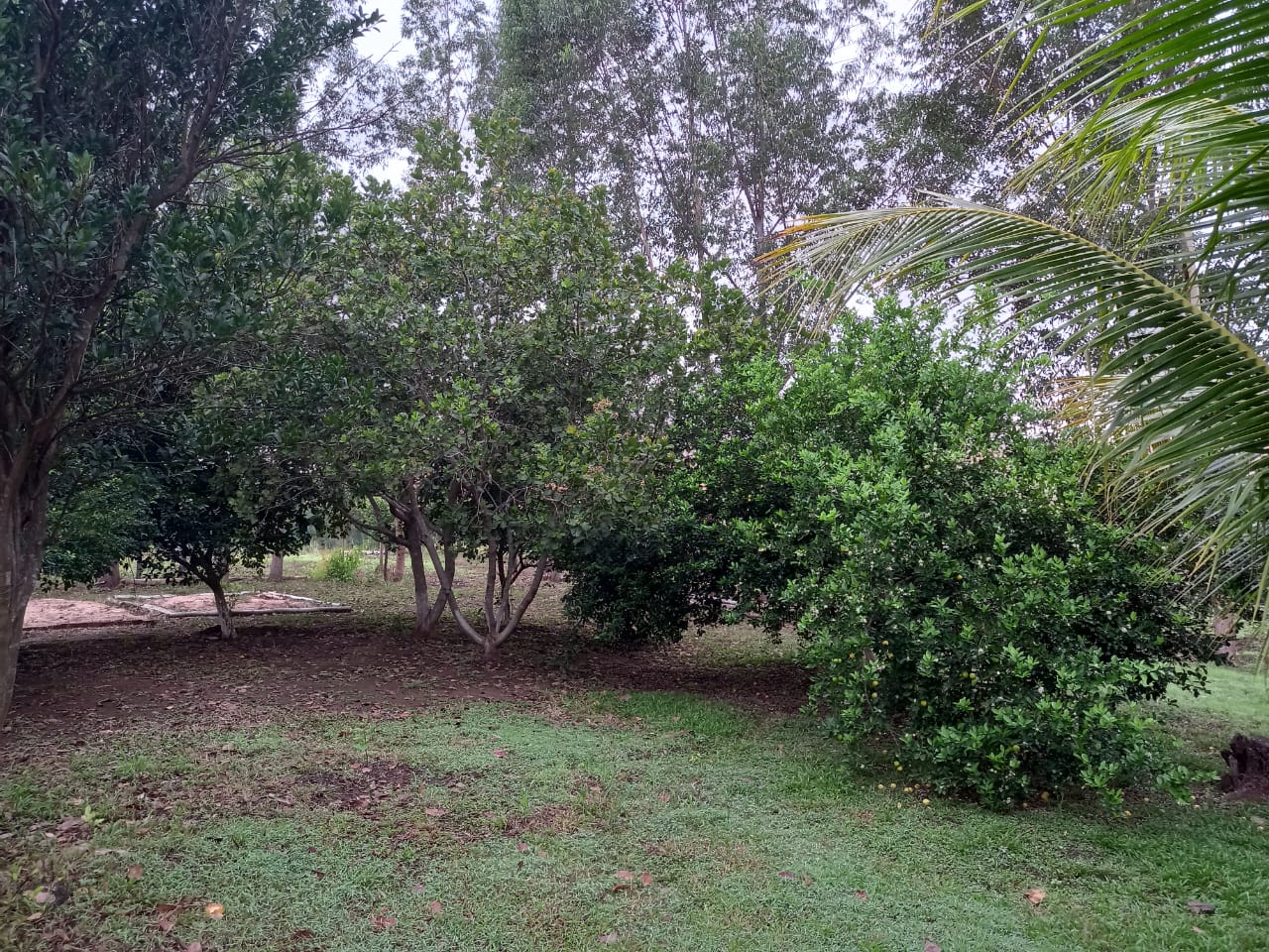 Chácara 6,6 ha - Rio Negro-Ms