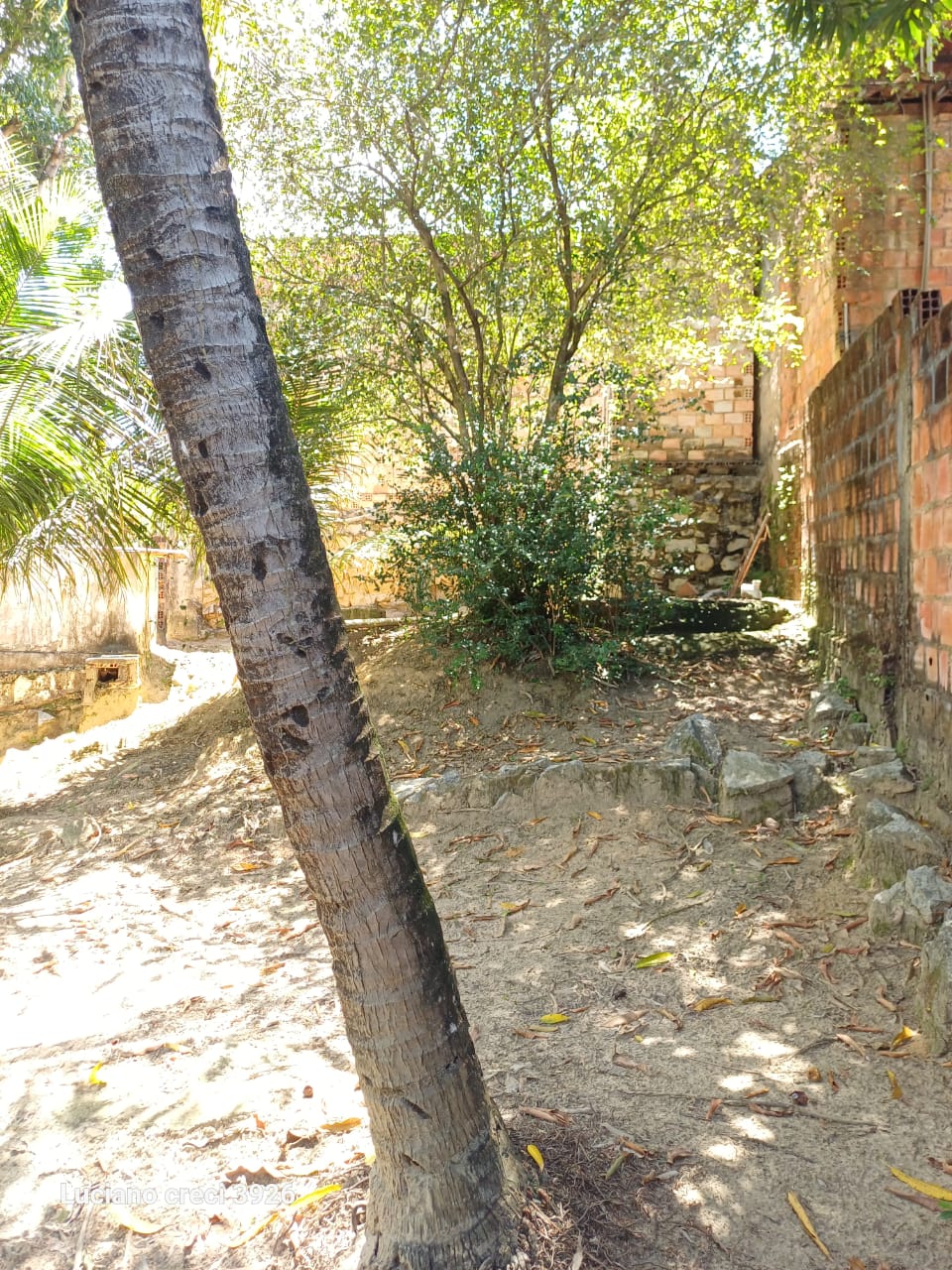 SITIO EM PARIPUEIRA - ALAGOAS