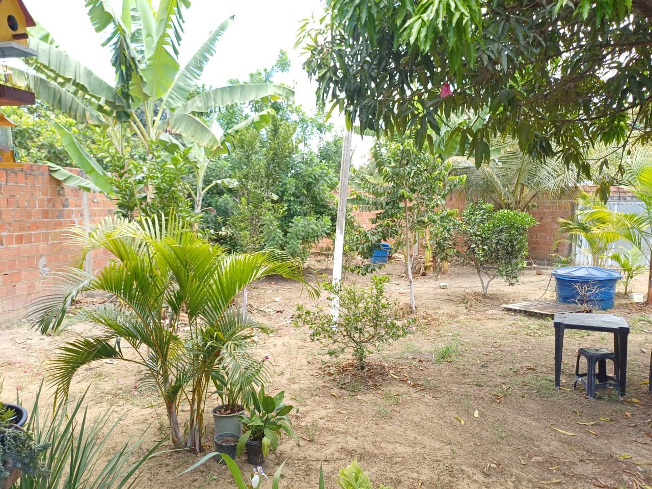 VENDO CHACARA EM RIO LARGO - ALAGOAS