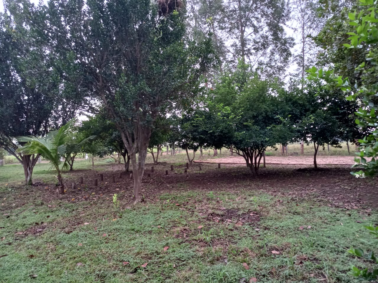 Chácara 6,6 ha - Rio Negro-Ms