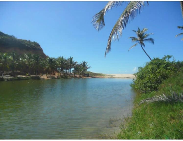 Fazenda EM ALAGOAS de 108 Hectares em Jequiá da Praia – Oportunidade Única para Resorts e Loteamentos