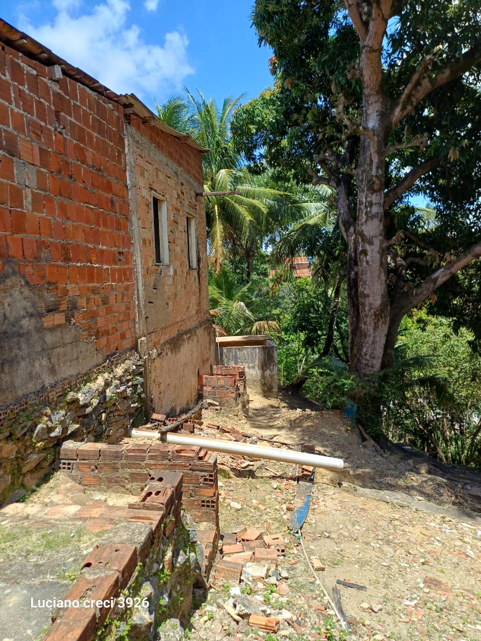 SITIO EM PARIPUEIRA - ALAGOAS