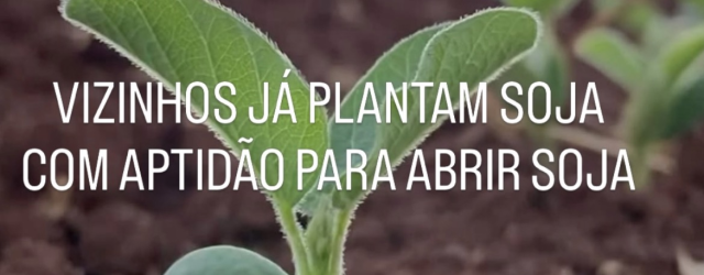 FAZENDA NA PECUÁRIA VIZINHO DA SOJA PERTO DA CAPITAL MS