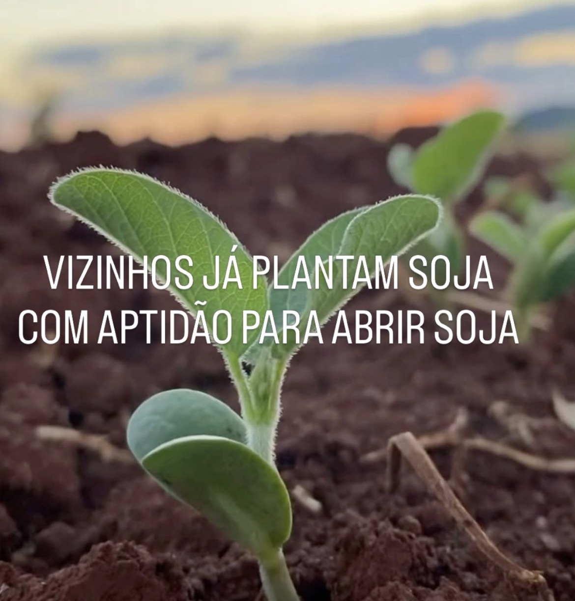 FAZENDA NA PECUÁRIA VIZINHO DA SOJA PERTO DA CAPITAL MS
