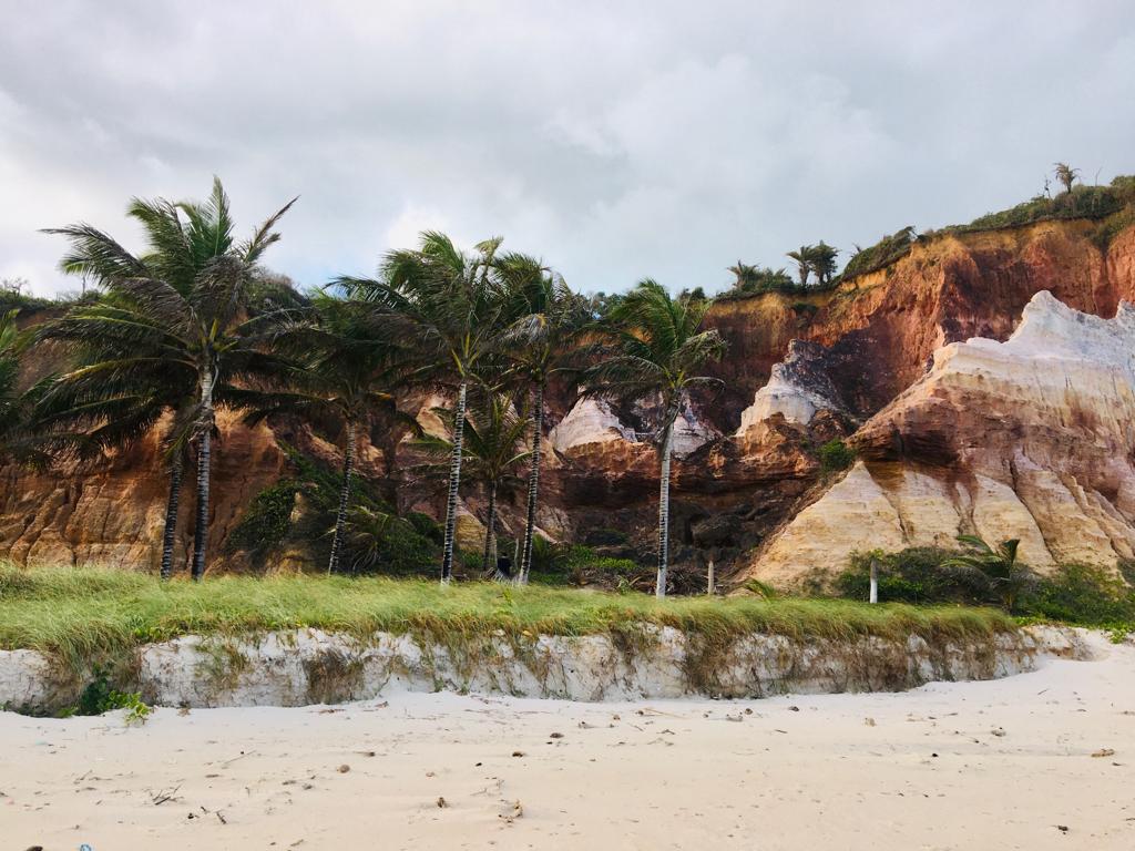 Fazenda EM ALAGOAS de 108 Hectares em Jequiá da Praia – Oportunidade Única para Resorts e Loteamentos