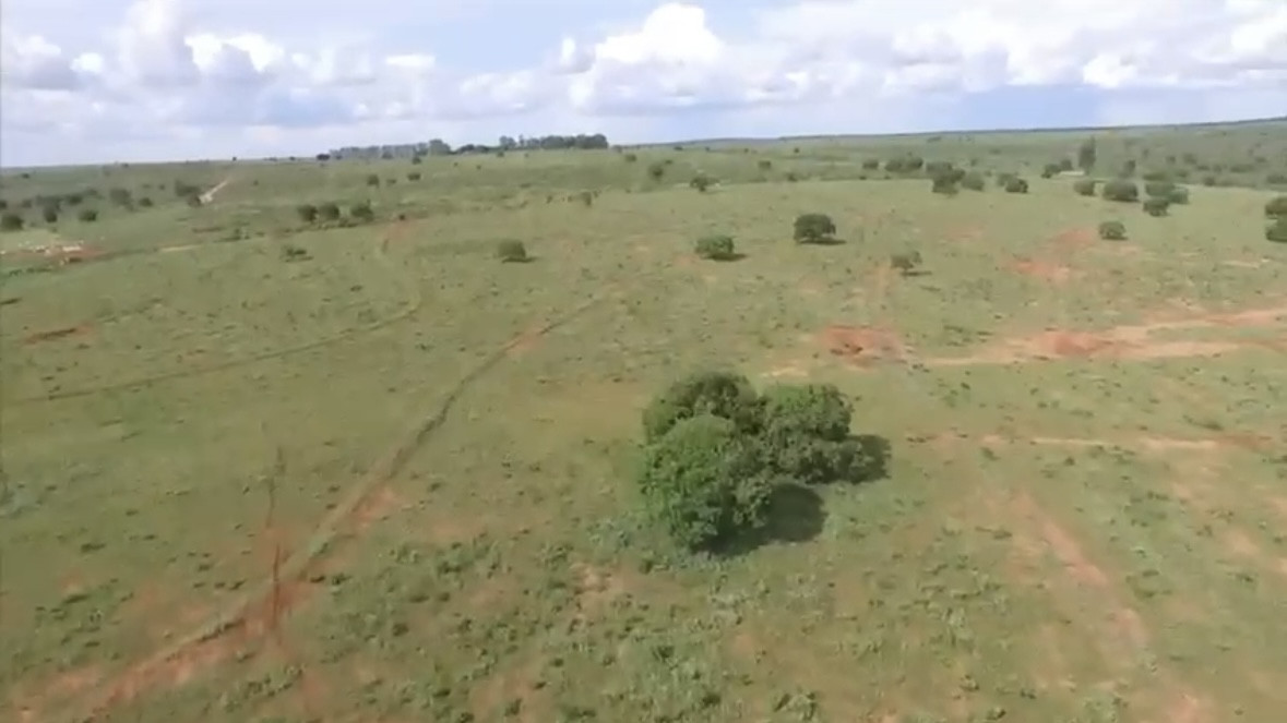 Fazenda em Ribas do Rio Pardo